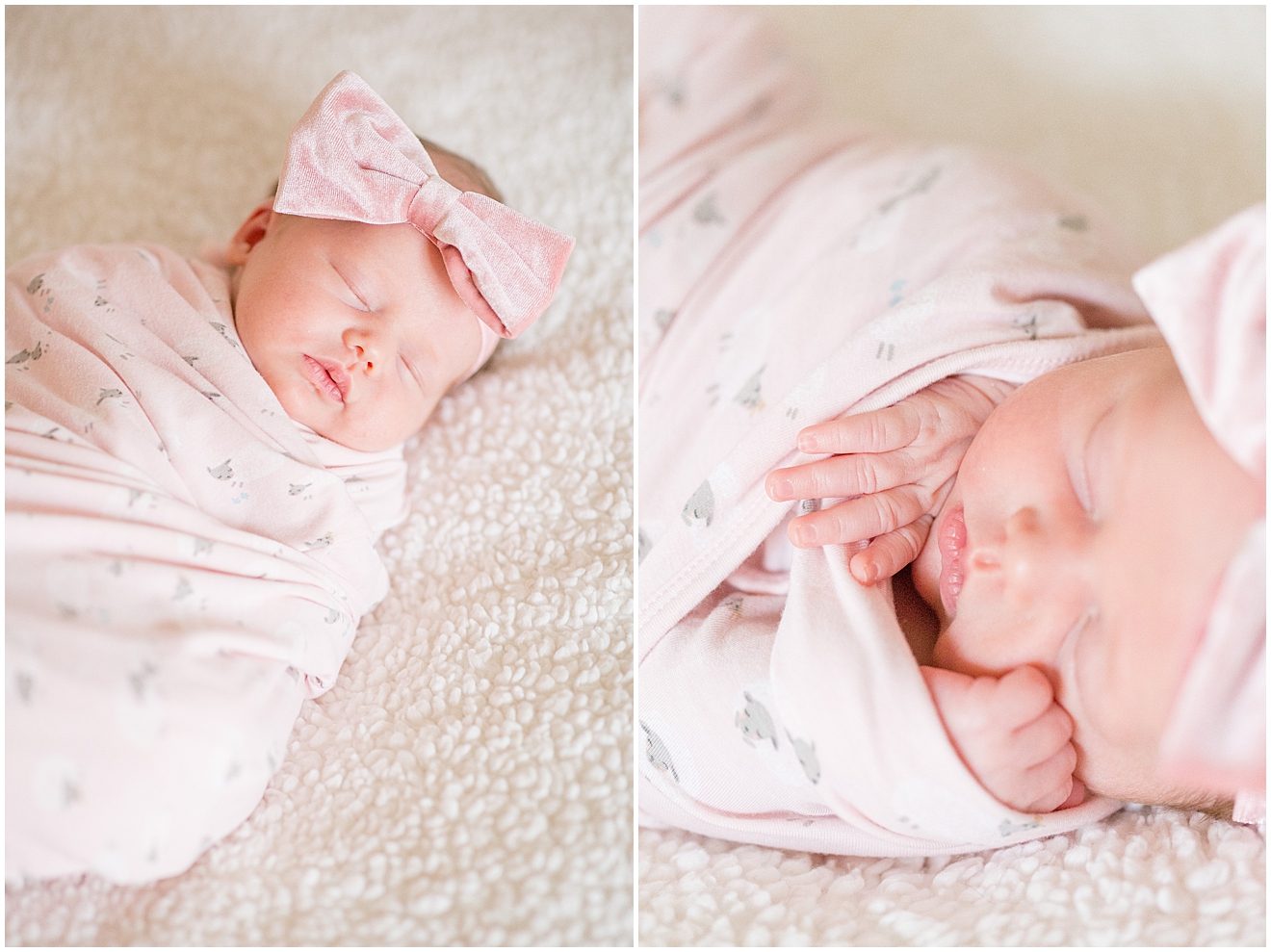 greensboro-nc-newborn-photos