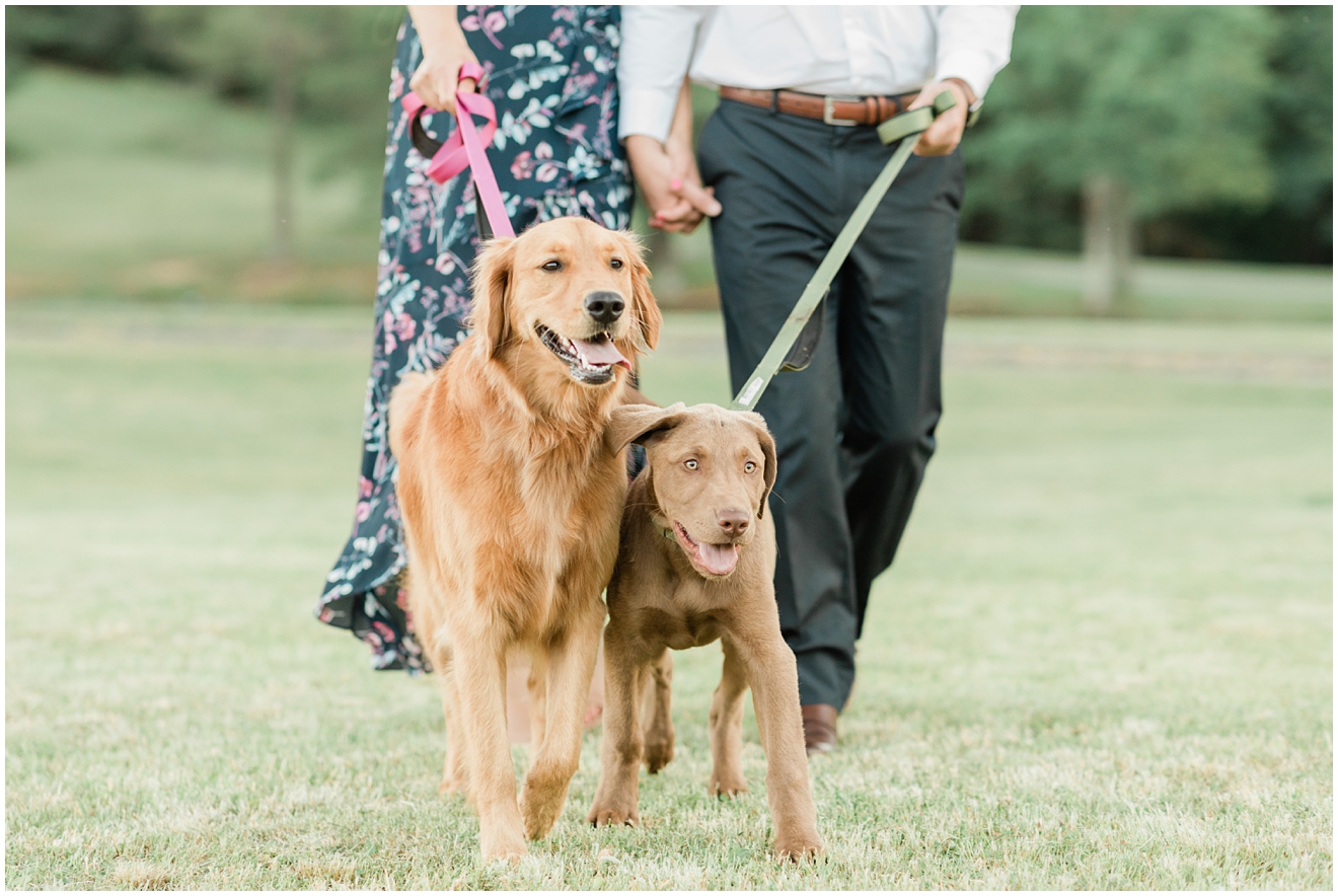virginia-engagement-photos-with-dogs
