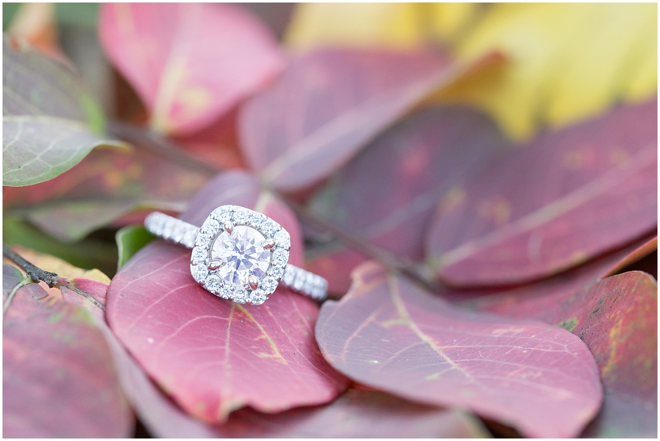 engagement-ring-fall-leaves