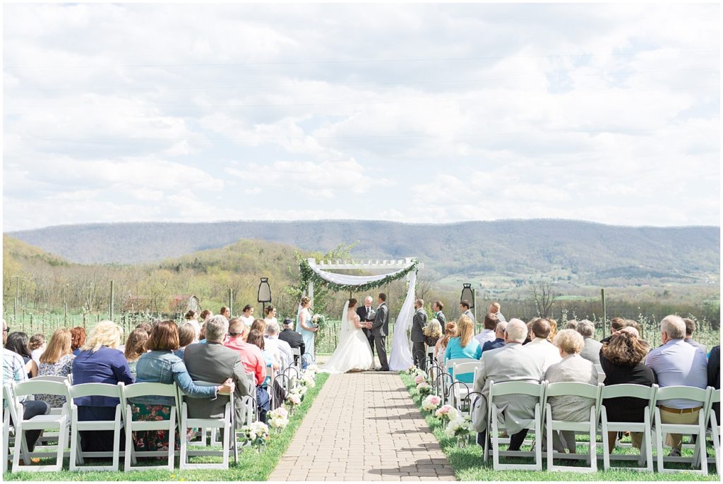 doe-creek-farm-virginia-spring-wedding-photos