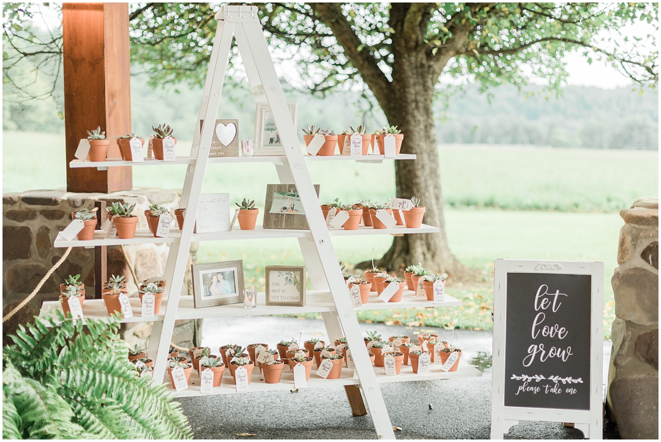 succulent-wedding-favor-display-photos